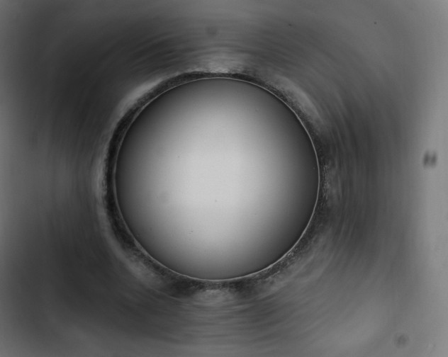 X0000103260536200809051446