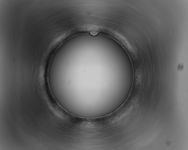 X0000103260538200809051446