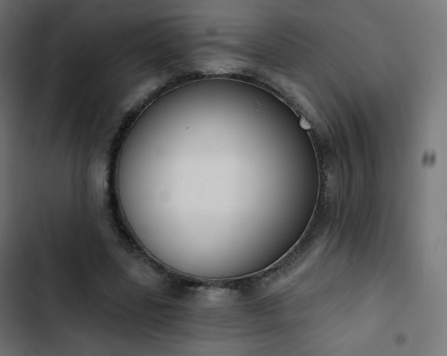 X0000103260539200809051446