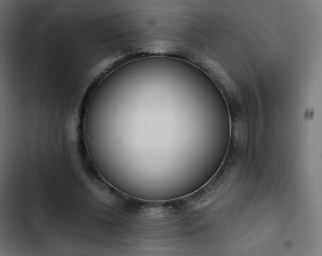 X0000103260540200809051446