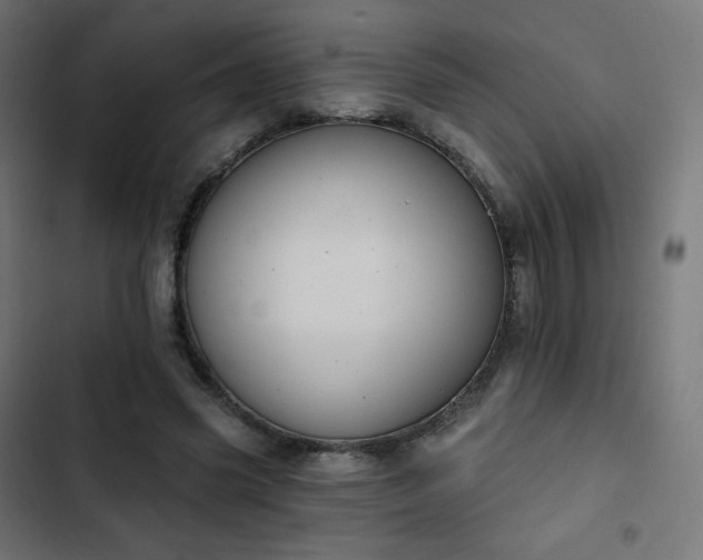 X0000103260541200809051446