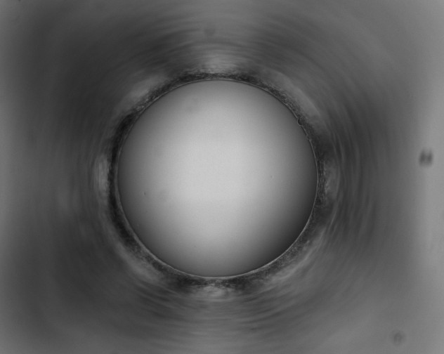 X0000103260542200809051446