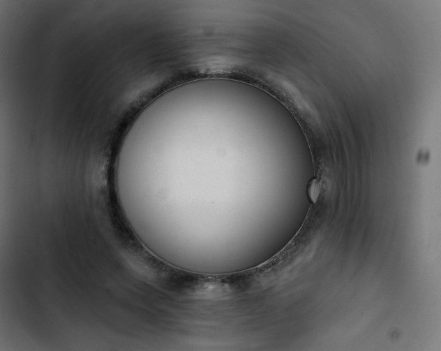 X0000103260543200809051446