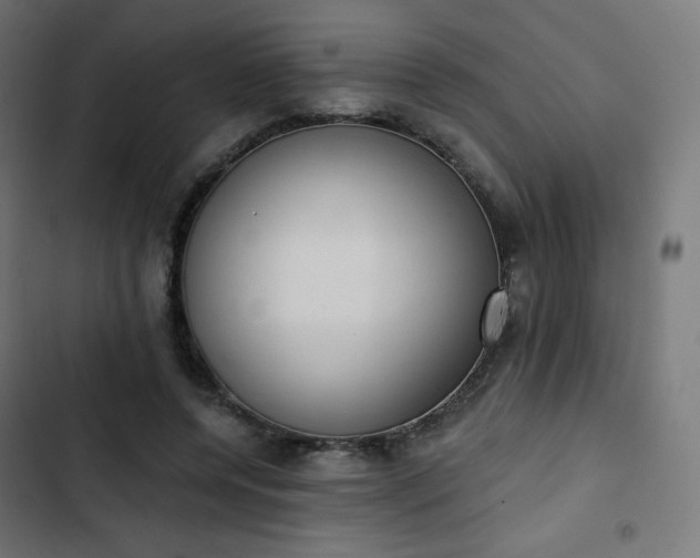 X0000103260544200809051446