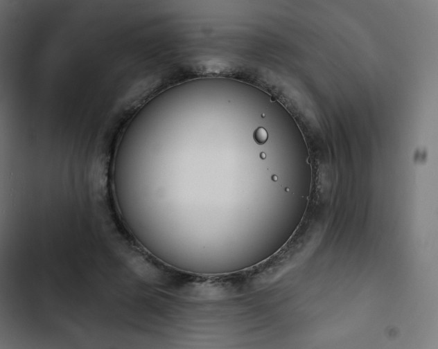 X0000103260545200809051446