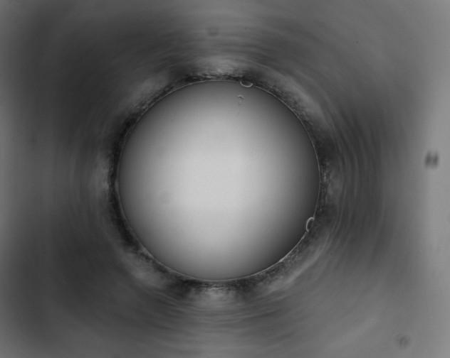 X0000103260546200809051446