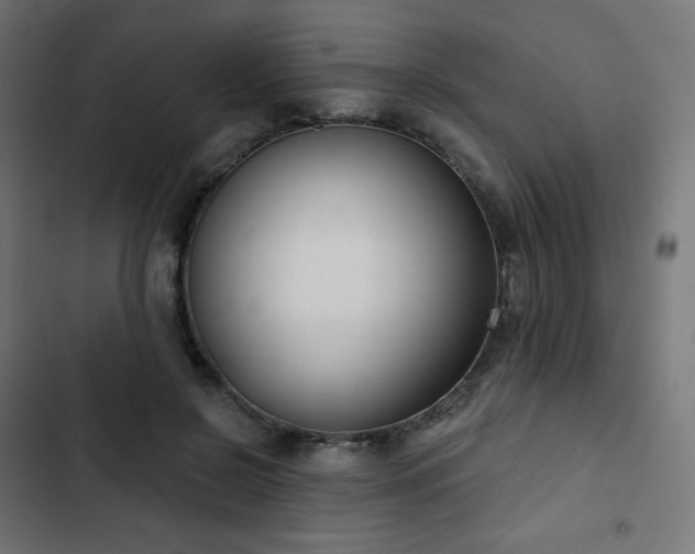 X0000103260550200809051446