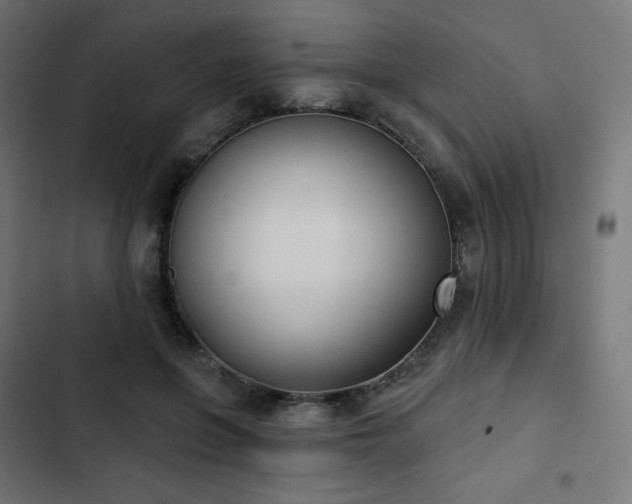 X0000103260551200809051446