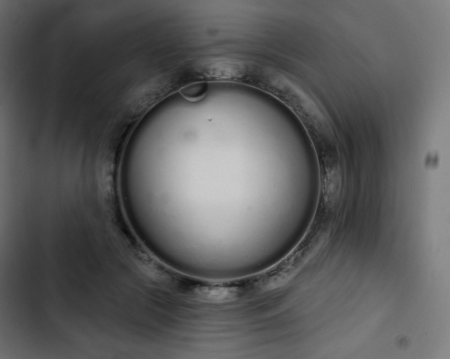 X0000103260553200809051446