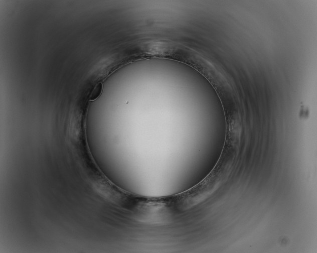 X0000103260554200809051446