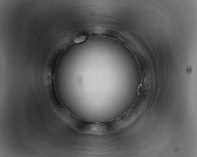 X0000103260555200809051446