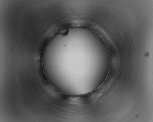 X0000103260557200809051446