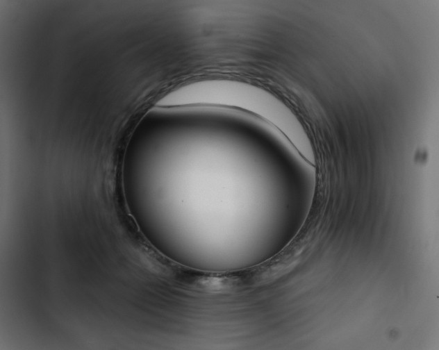 X0000103260558200809051446