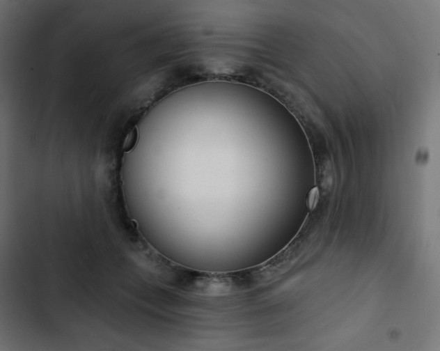 X0000103260559200809051446