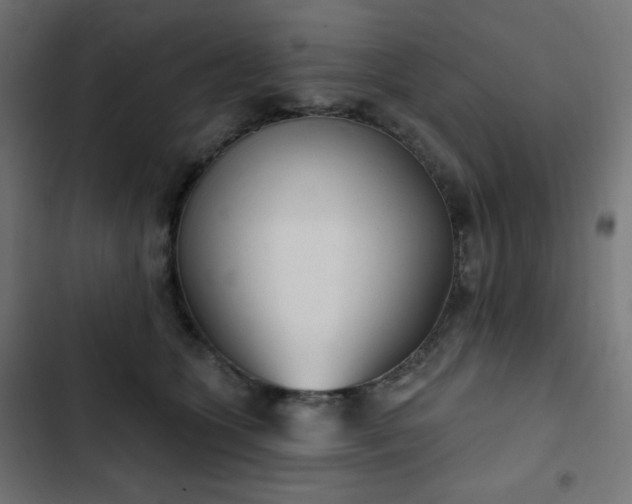 X0000103260563200809051446