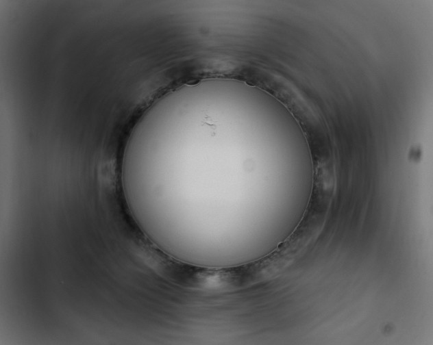 X0000103260564200809051446