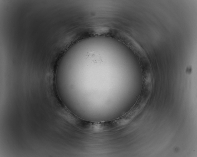 X0000103260565200809051446