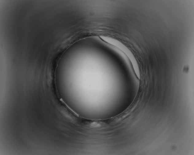 X0000103260566200809051446