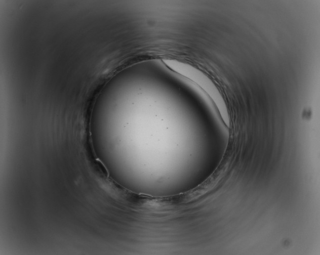 X0000103260568200809051446