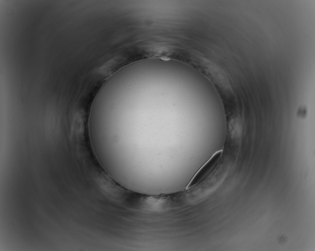 X0000103260570200809051446