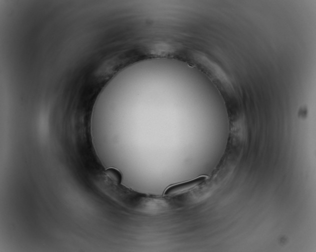 X0000103260572200809051446