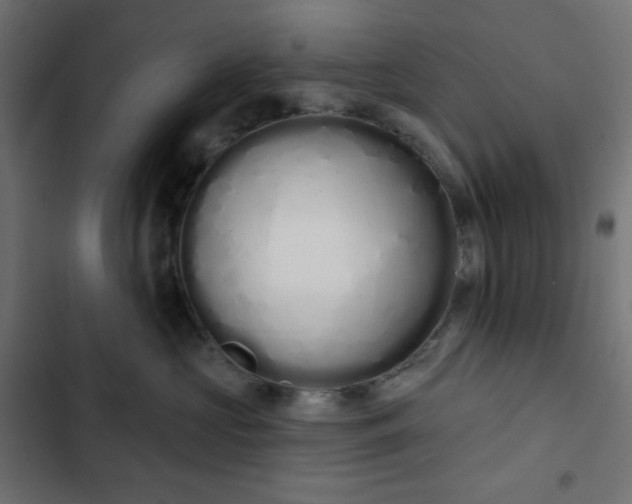 X0000103260573200809051446