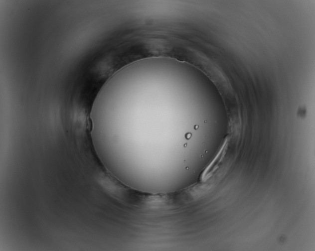 X0000103260574200809051446