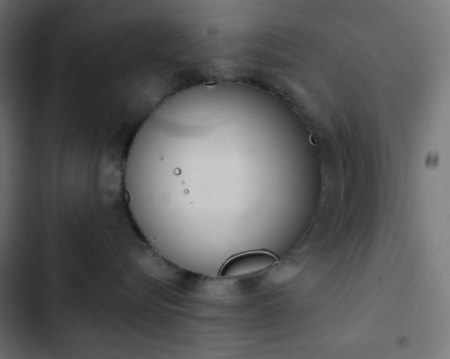 X0000103260576200809051446