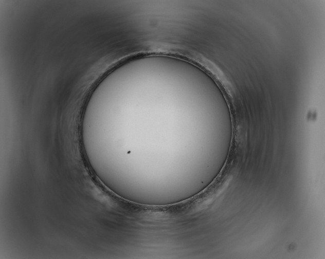 X0000103260577200809051446