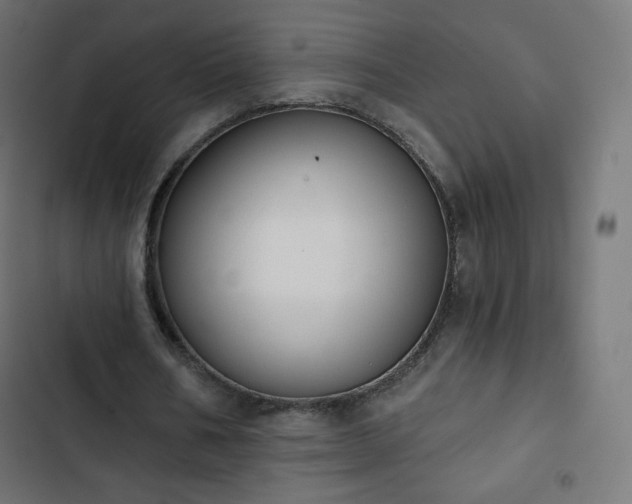 X0000103260578200809051446