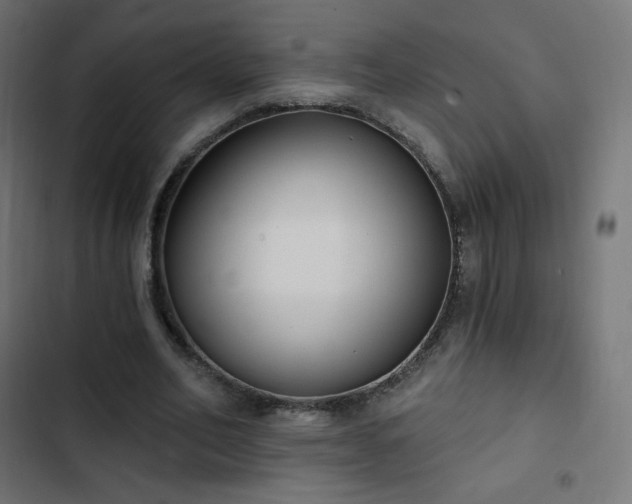 X0000103260582200809051446