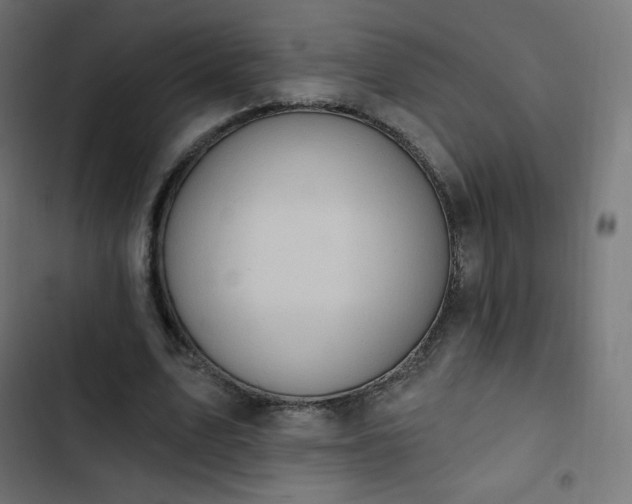 X0000103260583200809051446