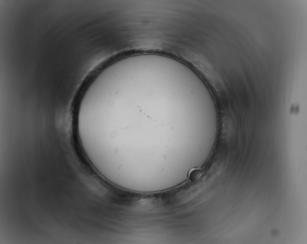 X0000103260584200809051446