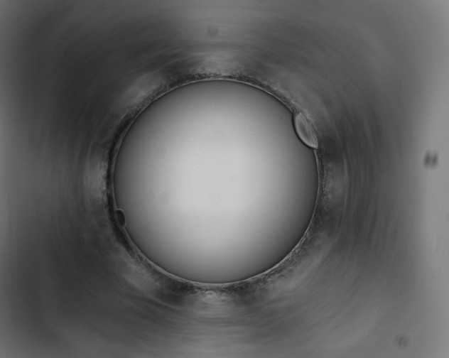 X0000103260585200809051446