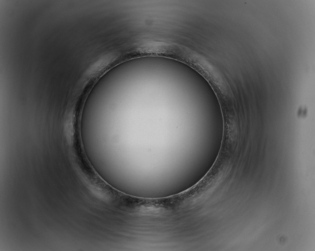 X0000103260586200809051446