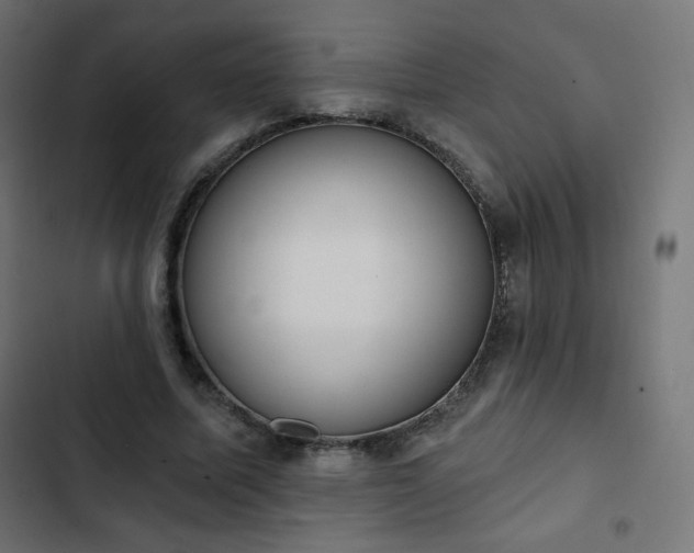 X0000103260587200809051446