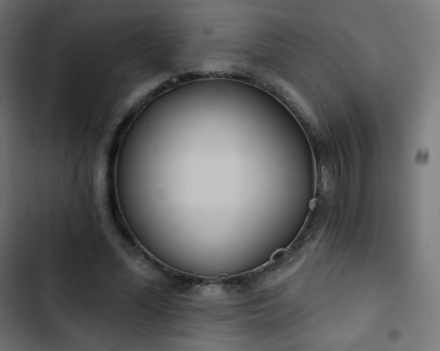 X0000103260588200809051446