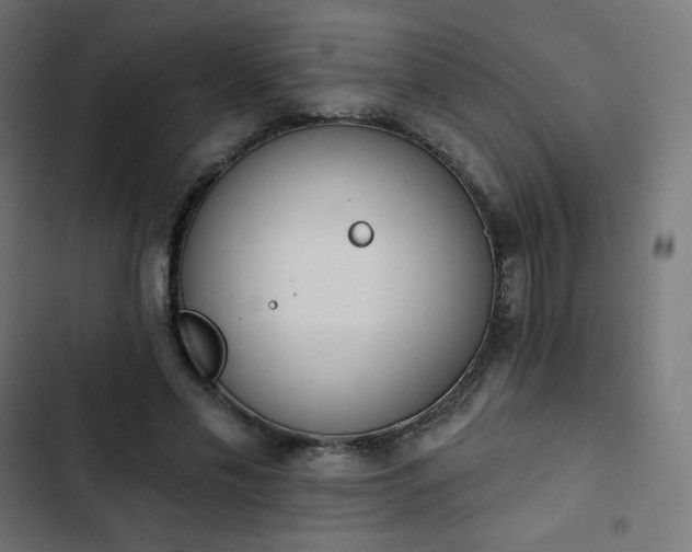 X0000103260589200809051446