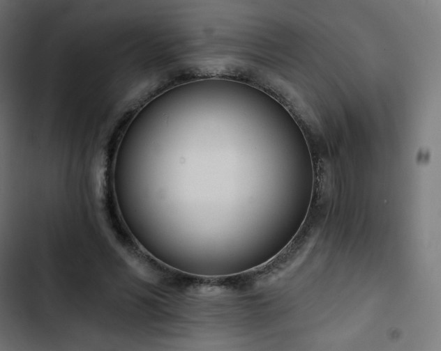 X0000103260590200809051446