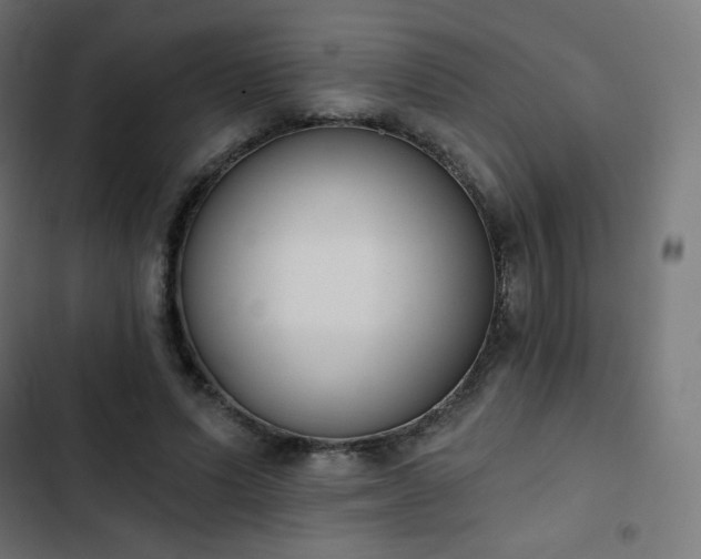 X0000103260591200809051446