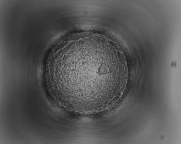 X0000103260592200809051446