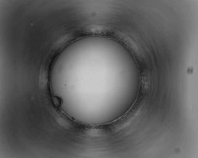 X0000103260593200809051446