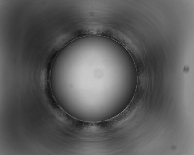 X0000103260594200809051446