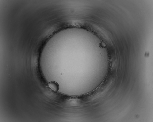 X0000103260595200809051445