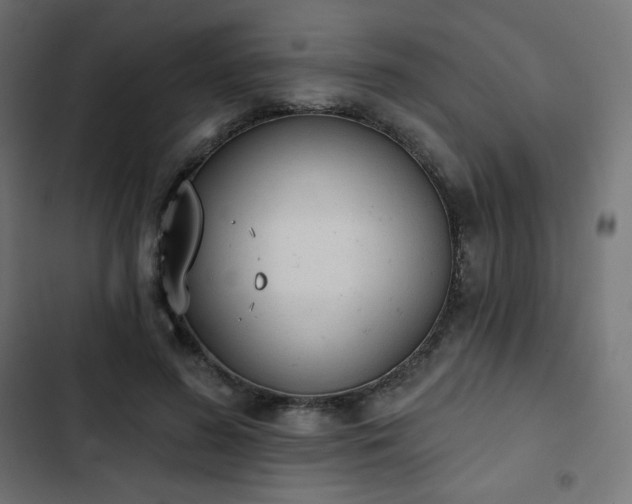 X0000103260596200809051445