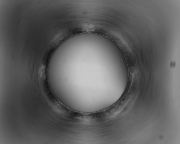 X0000103260598200809051445