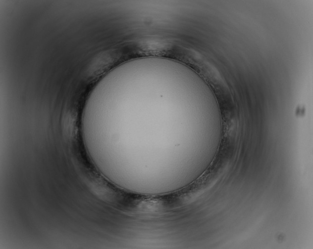 X0000103260599200809051445