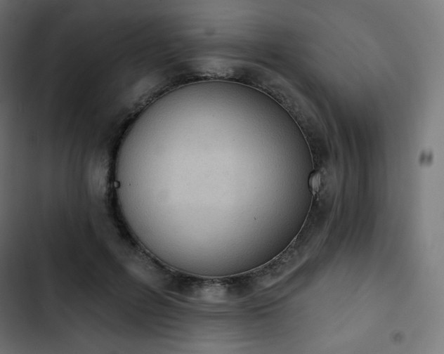 X0000103260600200809051445