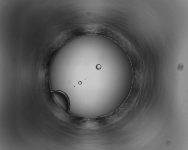 X0000103260601200809051445