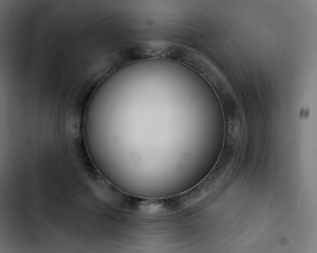 X0000103260602200809051445